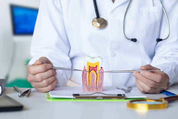 Best Emergency Root Canal Treatment in , MS